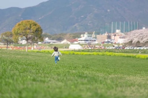 草原を走る子供